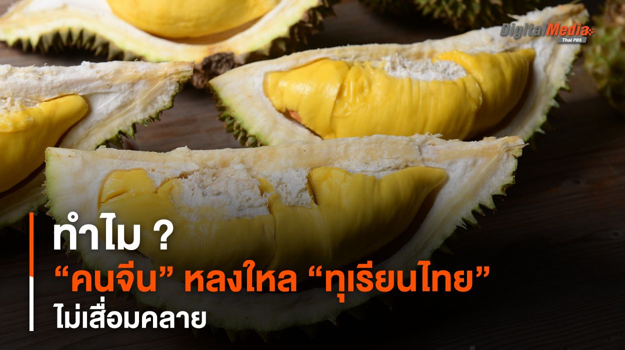 ทำไม ? “คนจีน” หลงใหล “ทุเรียนไทย” ไม่เสื่อมคลาย