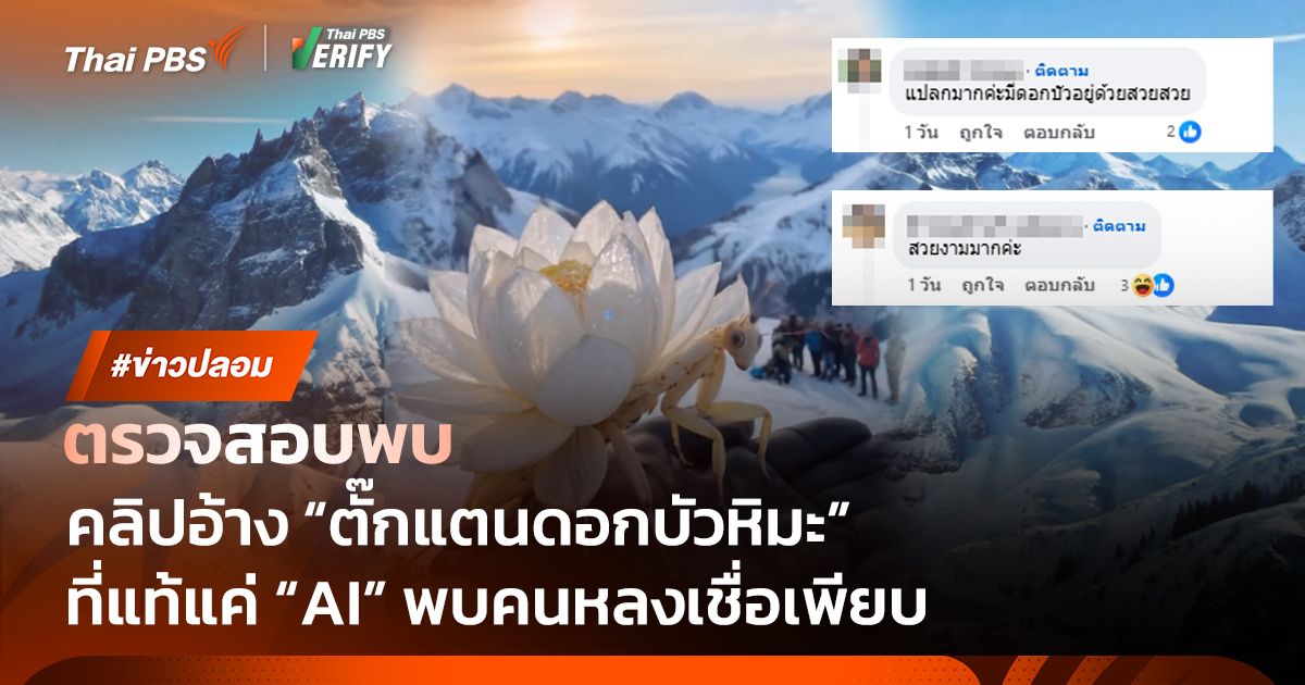 ตรวจสอบพบ : คลิป "ตั๊กแตนดอกบัวหิมะ" คนดู 10 ล้านครั้ง ที่แท้สร้างจาก AI