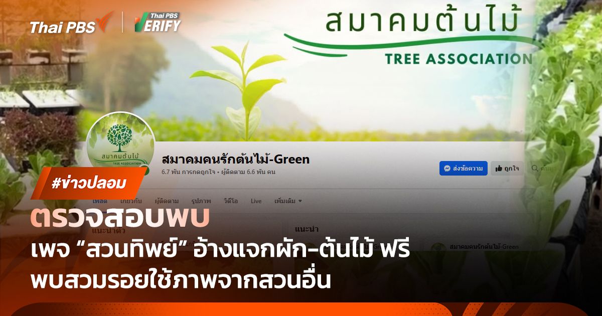 ตรวจสอบพบ : เพจปลอมยิงโฆษณาอ้างแจก "ผัก-ต้นไม้" ฟรี พบคนหลงดูกว่า 6 ล้านครั้ง