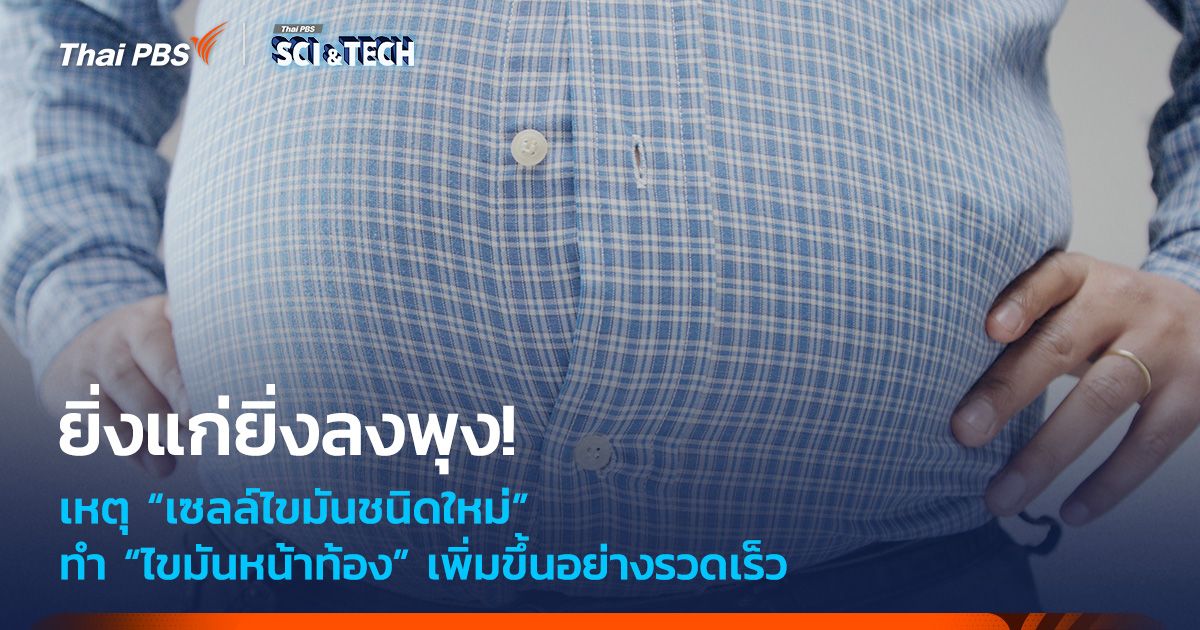 ยิ่งแก่ยิ่งลงพุง! เหตุ “เซลล์ไขมันชนิดใหม่” ทำไขมันหน้าท้องเพิ่มขึ้นอย่างรวดเร็ว