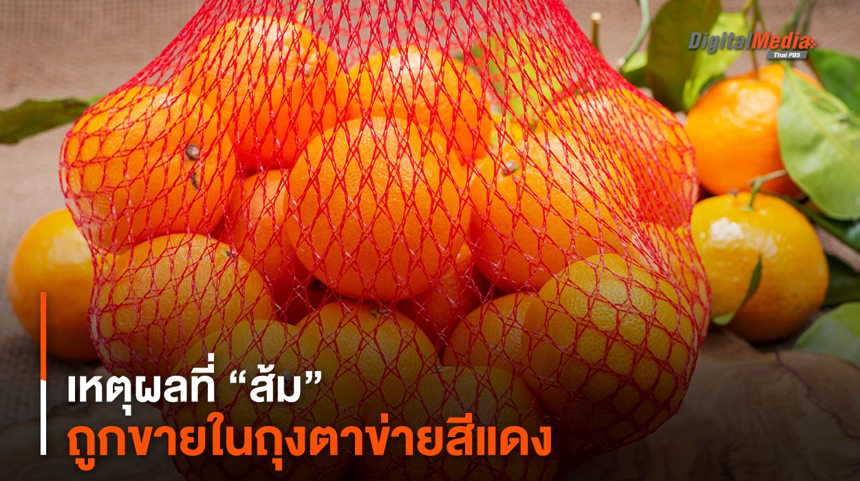 เหตุผลที่ “ส้ม” ถูกขายในถุงตาข่ายสีแดง