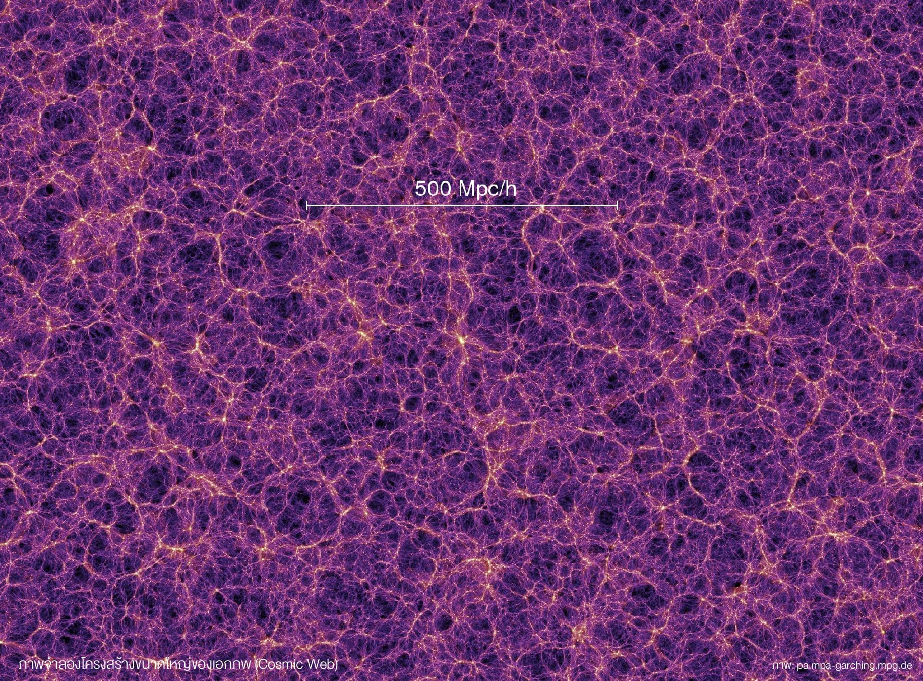 ภาพจำลองโครงสร้างขนาดใหญ่ของเอกภพ (Cosmic Web)