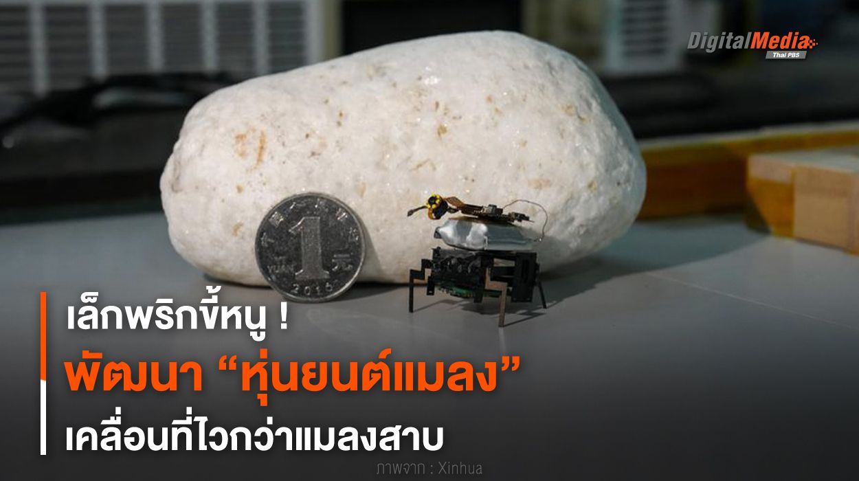 เล็กพริกขี้หนู ! พัฒนา “หุ่นยนต์แมลง” เคลื่อนที่ไวกว่าแมลงสาบ