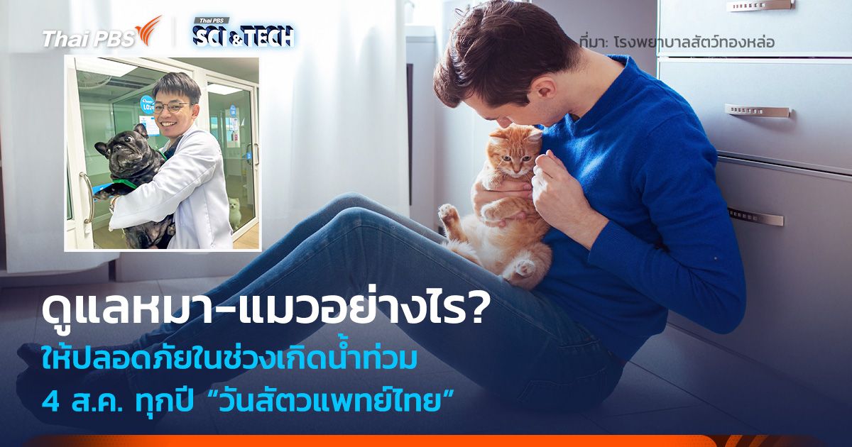 ดูแลหมา-แมวอย่างไร? ให้ปลอดภัยในช่วงเกิดน้ำท่วม
