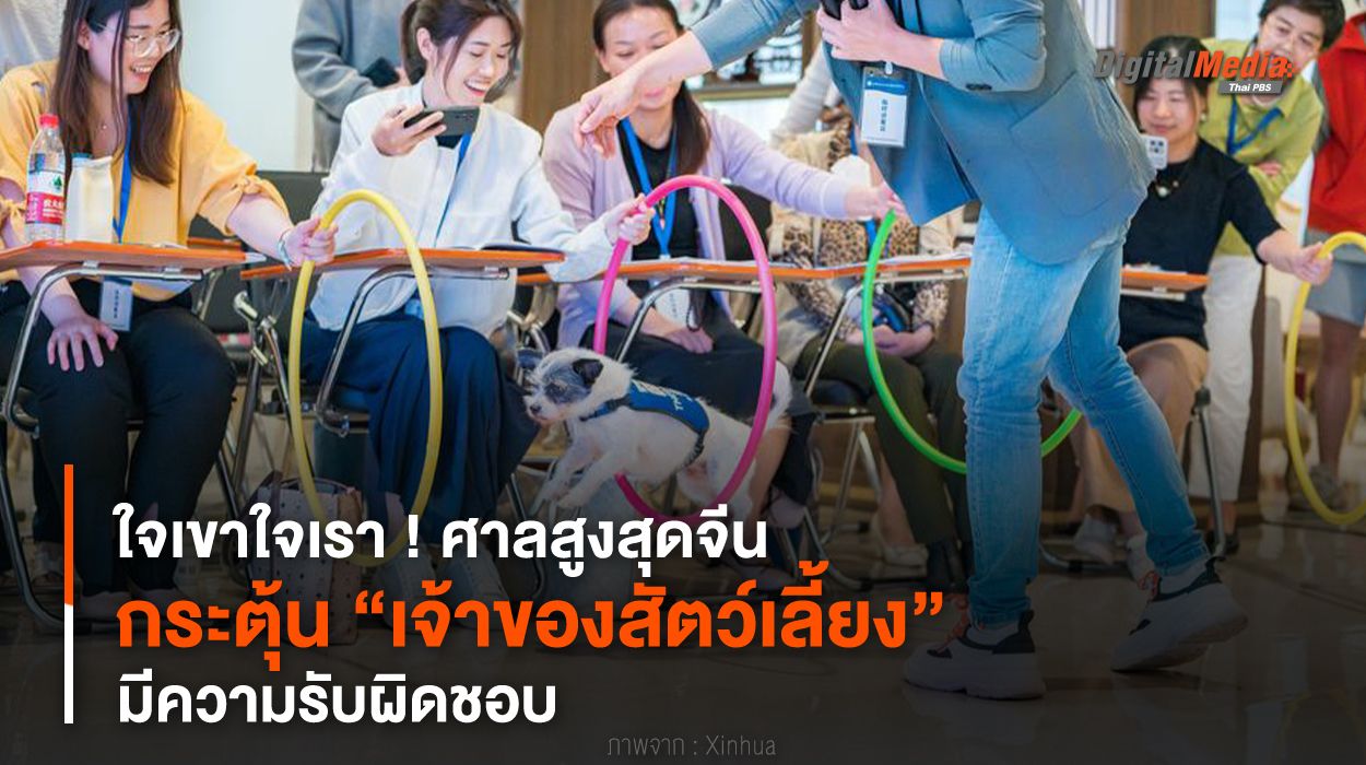 ใจเขาใจเรา ! ศาลสูงสุดจีนกระตุ้น “เจ้าของสัตว์เลี้ยง” มีความรับผิดชอบ