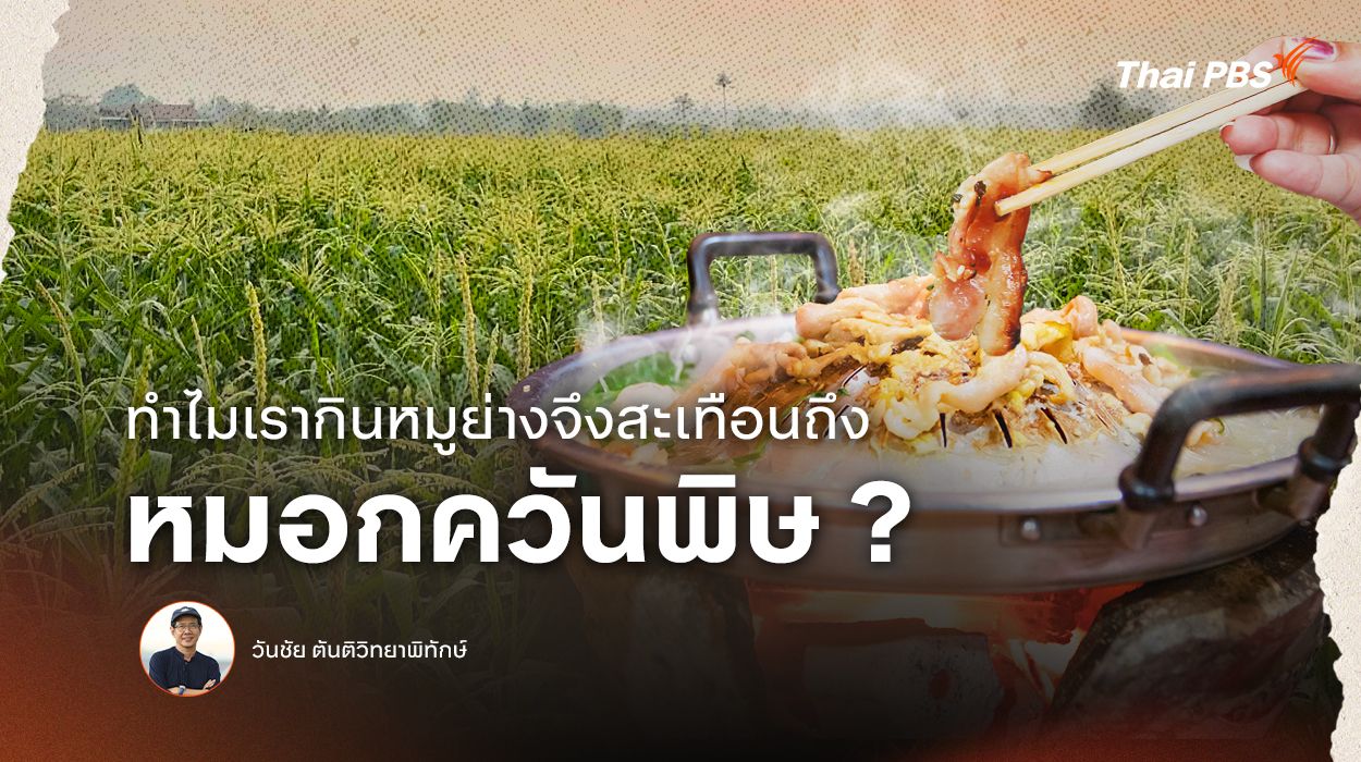 ทำไมเรากินหมูย่างจึงสะเทือนถึงหมอกควันพิษ