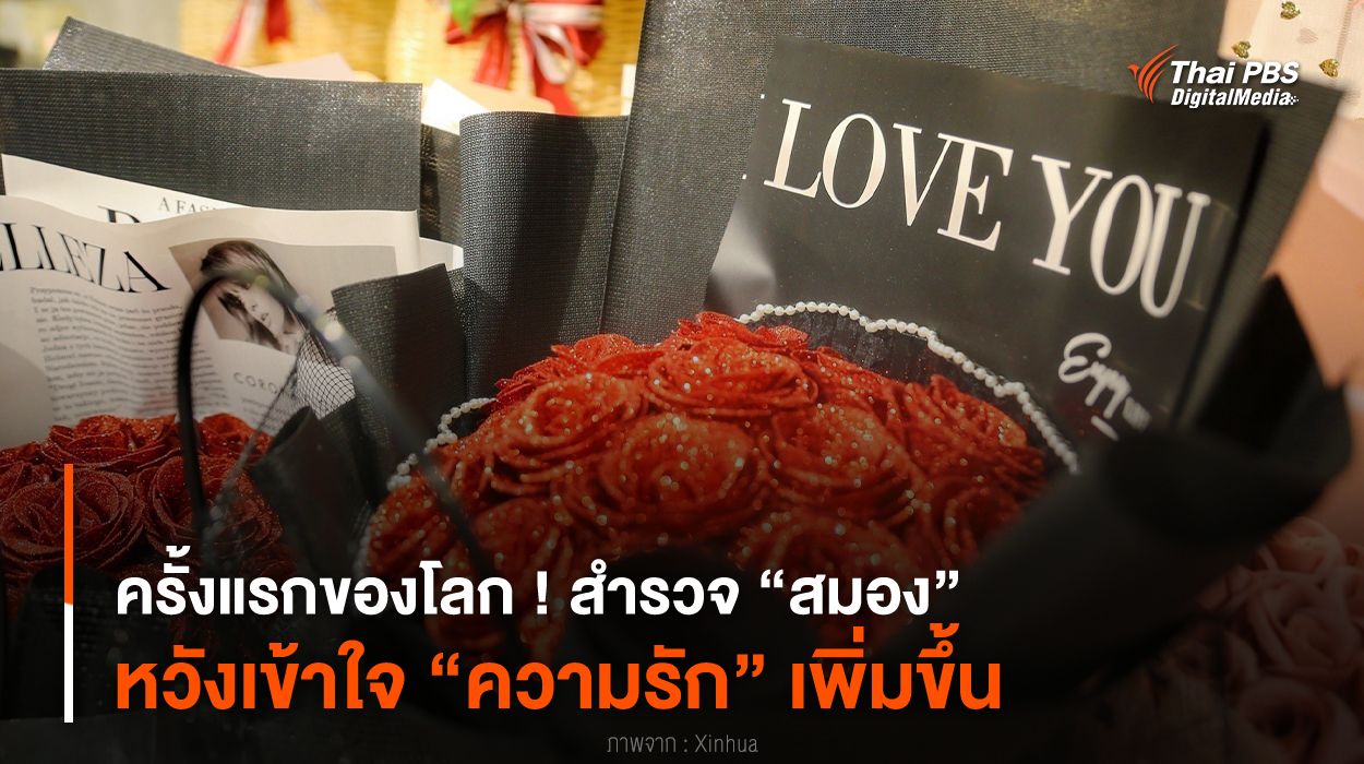 ครั้งแรกของโลก ! สำรวจ “สมอง” หวังเข้าใจ “ความรัก” เพิ่มขึ้น