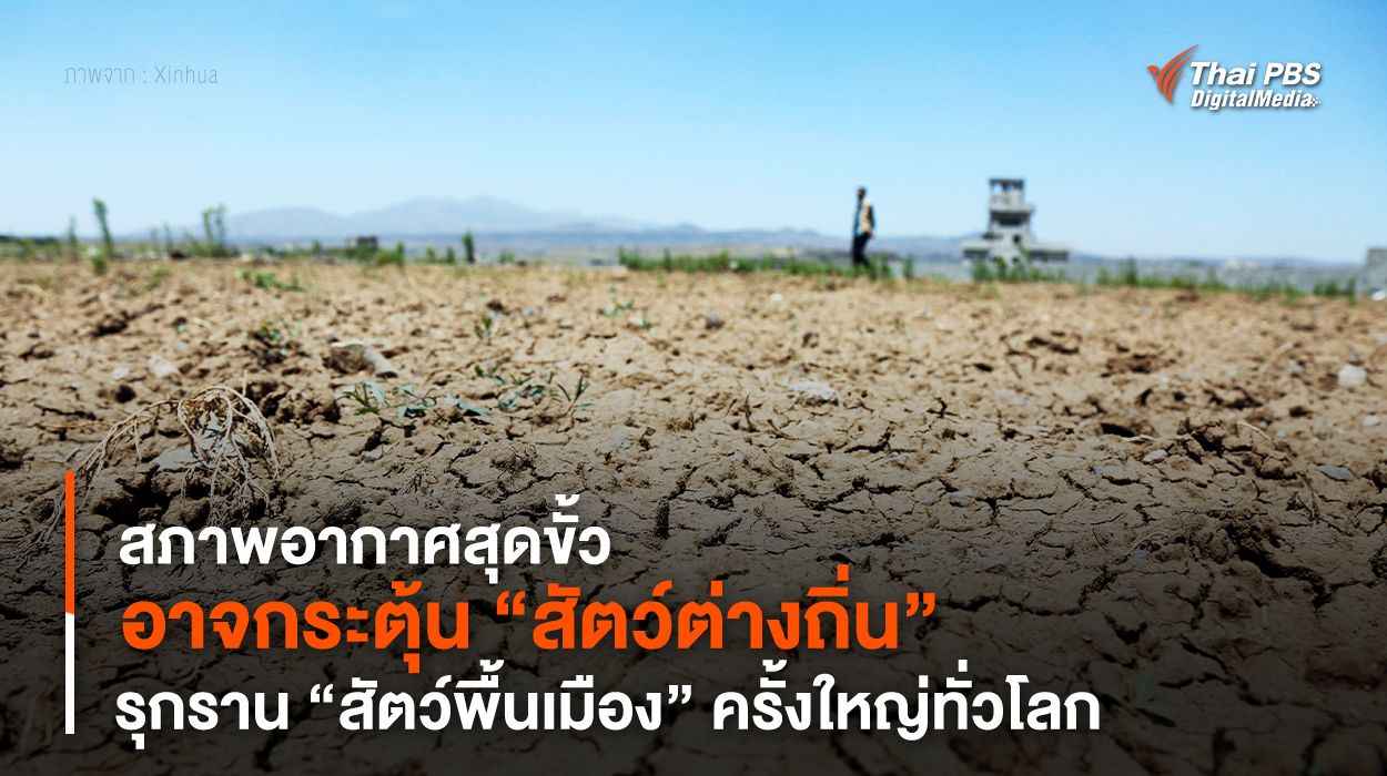 “สภาพอากาศสุดขั้ว” อาจกระตุ้น “สัตว์ต่างถิ่น” รุกราน “สัตว์พื้นเมือง” ครั้งใหญ่ทั่วโลก