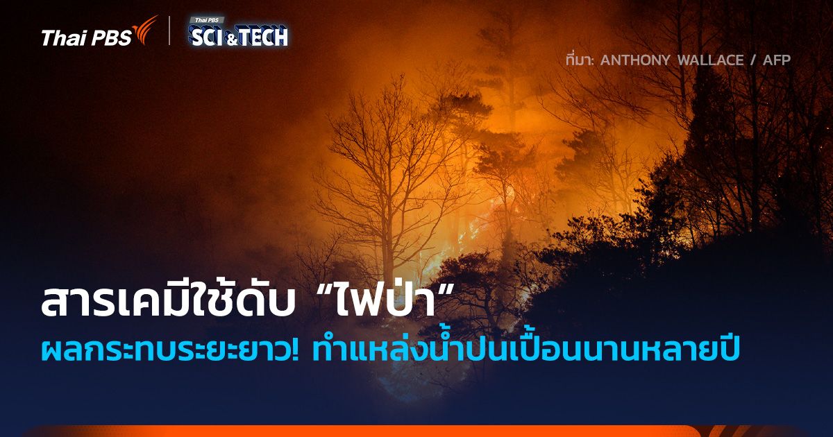 ผลกระทบระยะยาว! สารเคมีใช้ดับ “ไฟป่า” ทำแหล่งน้ำปนเปื้อนนานหลายปี