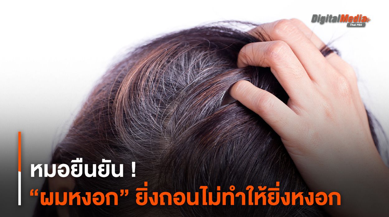 หมอยืนยัน ! “ผมหงอก” ยิ่งถอนไม่ทำให้ยิ่งหงอก