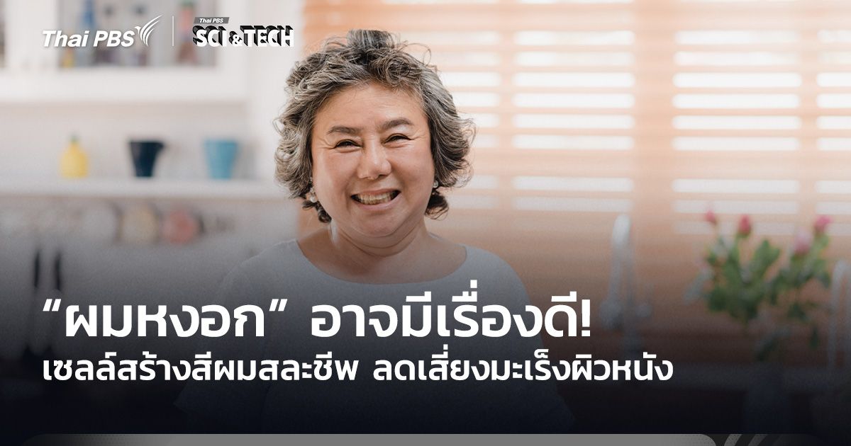 “ผมหงอก” อาจมีเรื่องดี! เซลล์สร้างสีผมสละชีพ ลดเสี่ยงมะเร็งผิวหนัง