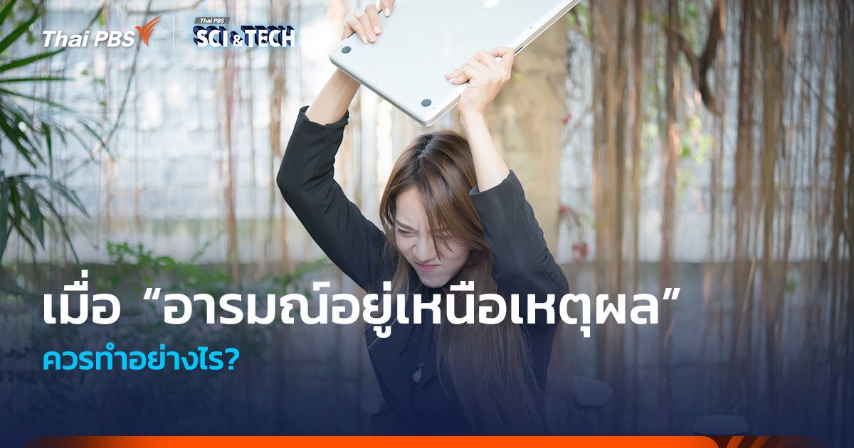 ไม่อยากให้ “อารมณ์อยู่เหนือเหตุผล” ควรทำอย่างไร?