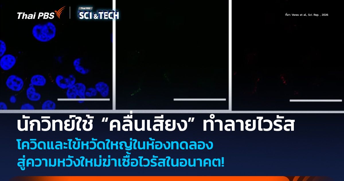 นักวิทย์ใช้ “คลื่นเสียง” ทำลายไวรัสโควิดและไข้หวัดใหญ่ในห้องทดลอง