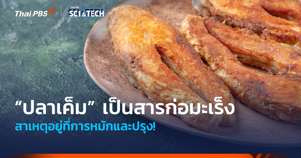 อยู่ที่การหมักและปรุง! สาเหตุ “ปลาเค็ม” กลายเป็นสารก่อมะเร็ง