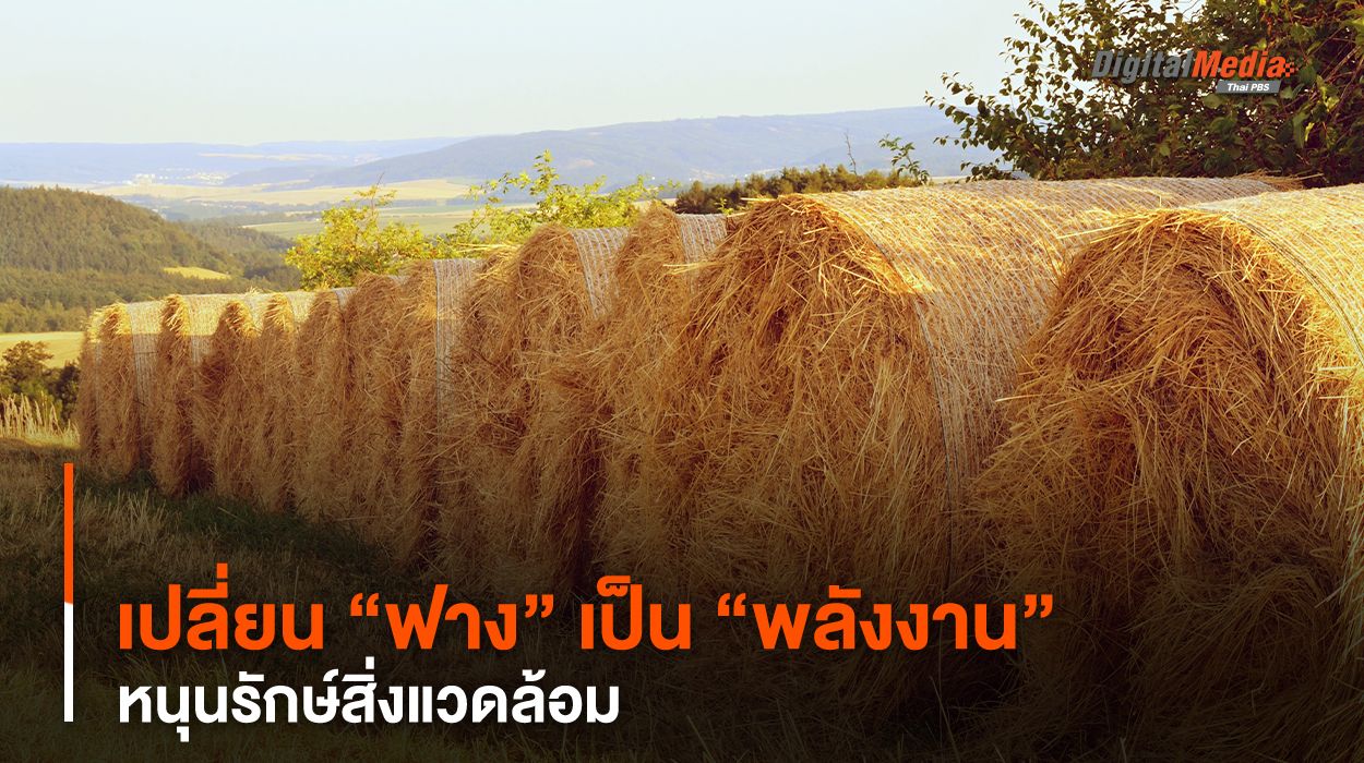 จีนเปลี่ยน “ฟาง” เป็น “พลังงาน” หนุนรักษ์สิ่งแวดล้อม