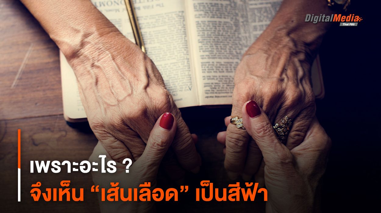 เพราะอะไร ? จึงเห็น “เส้นเลือด” เป็นสีฟ้า