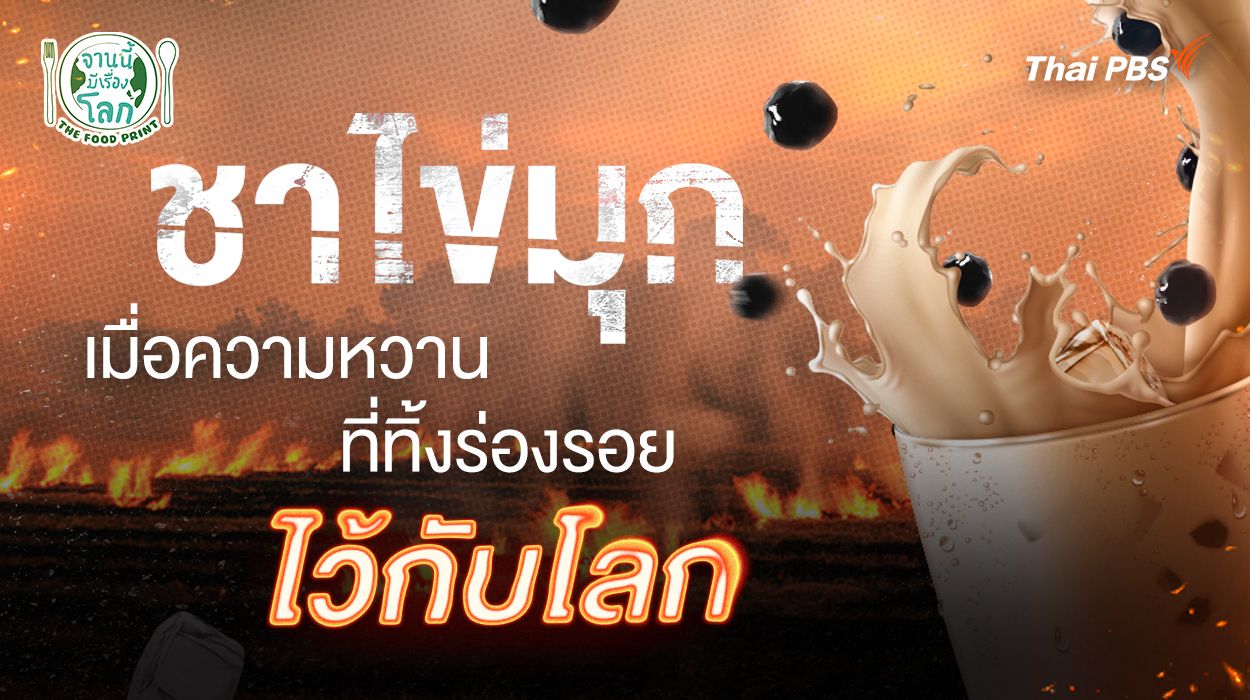 ชาไข่มุก: เมื่อความหวานที่ทิ้งร่องรอยไว้กับโลก