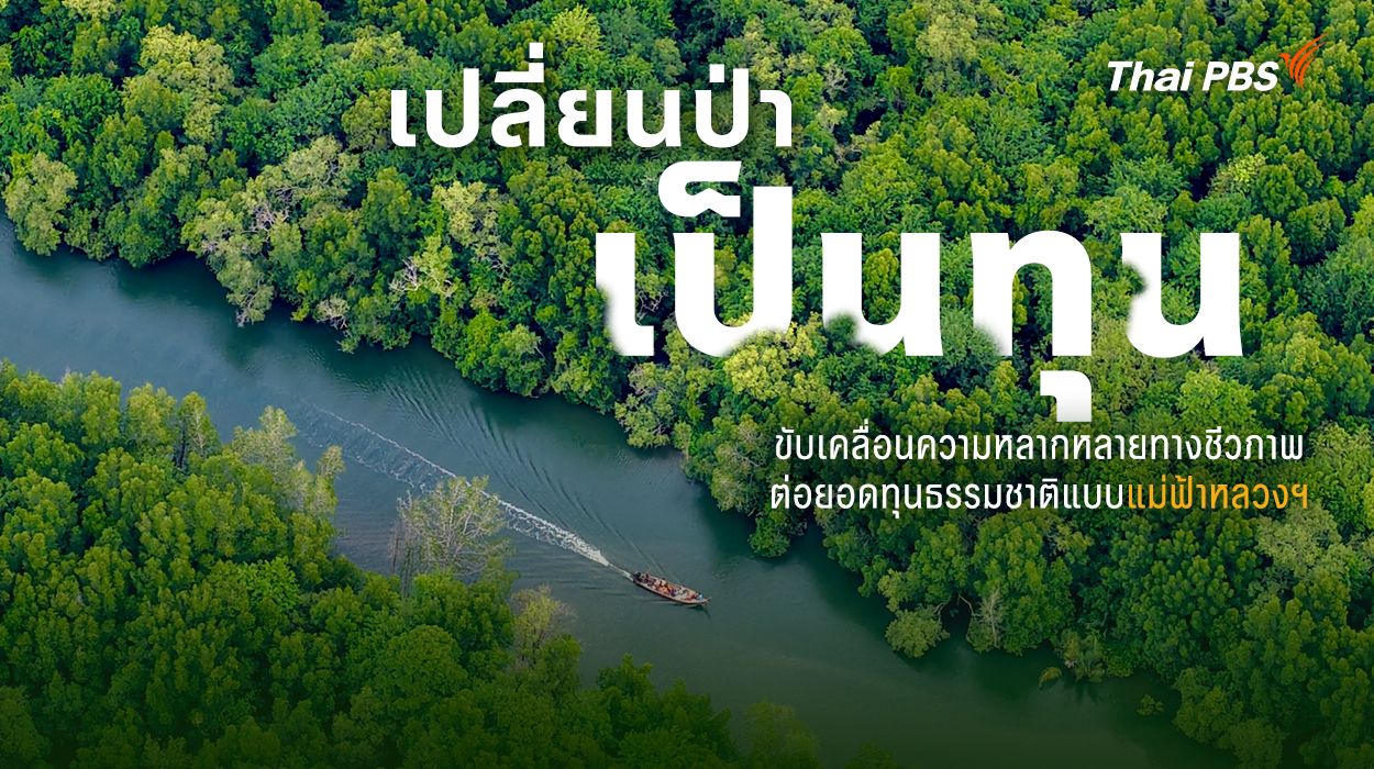 เปลี่ยนป่าเป็นทุน ขับเคลื่อนความหลากหลายทางชีวภาพ ต่อยอดทุนธรรมชาติแบบแม่ฟ้าหลวงฯ