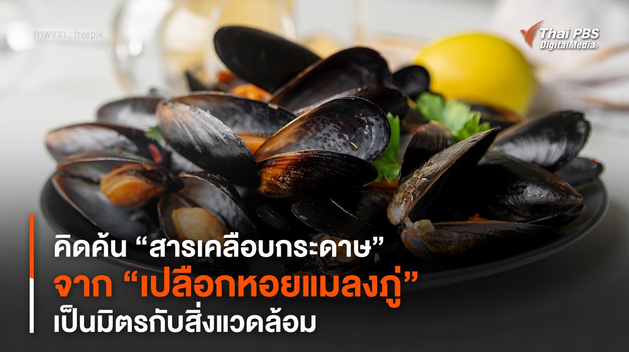 คิดค้น “สารเคลือบกระดาษ” จาก “เปลือกหอยแมลงภู่” เป็นมิตรกับสิ่งแวดล้อม