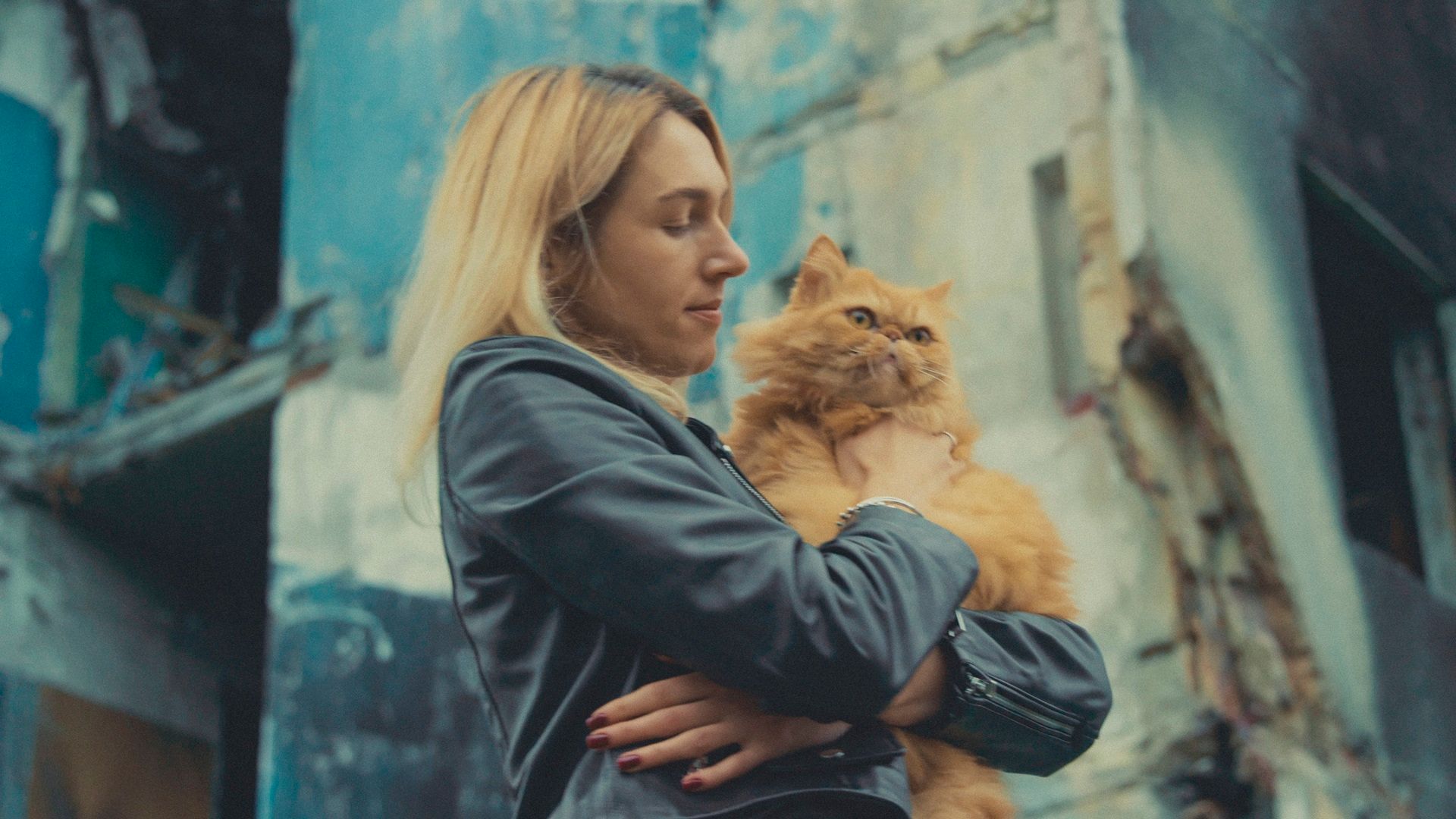 ภาพจากสารคดี US, Our Pets and The War