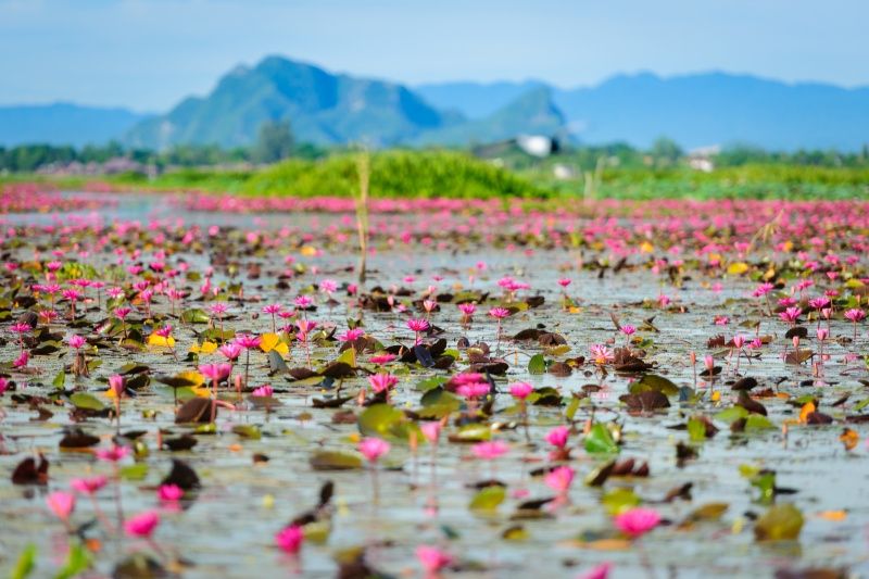 ภาพจากการท่องเที่ยวแห่งประเทศไทย