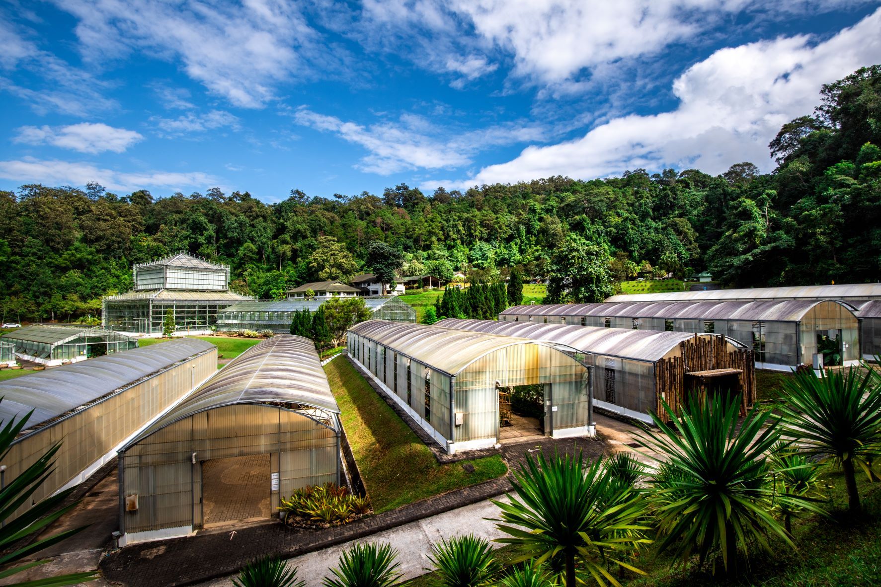 ที่มา การท่องเที่ยวแห่งประเทศไทย