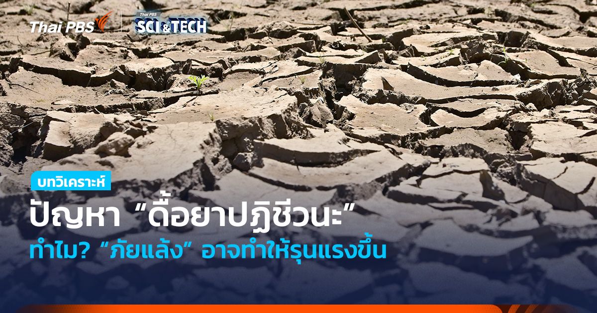 “ภัยแล้ง” อาจทำให้ปัญหา “ดื้อยาปฏิชีวนะ” รุนแรงขึ้น