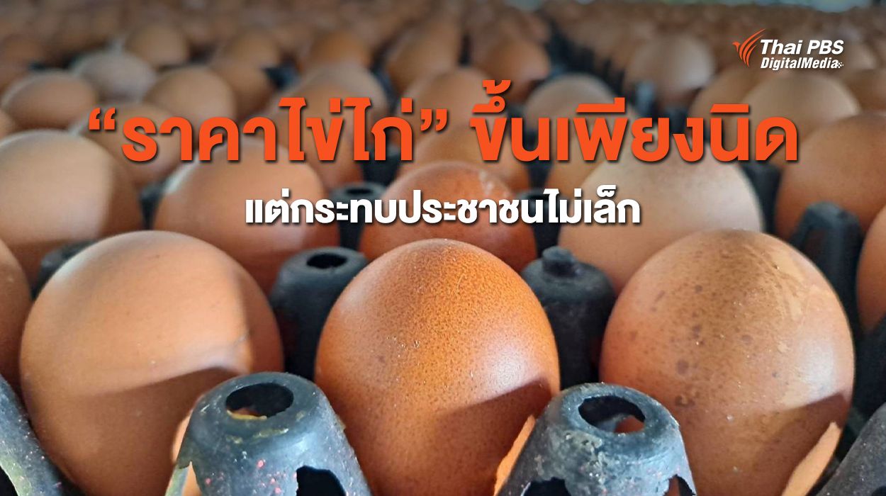 “ราคาไข่ไก่” ขึ้นเพียงนิด แต่กระทบประชาชนไม่เล็ก