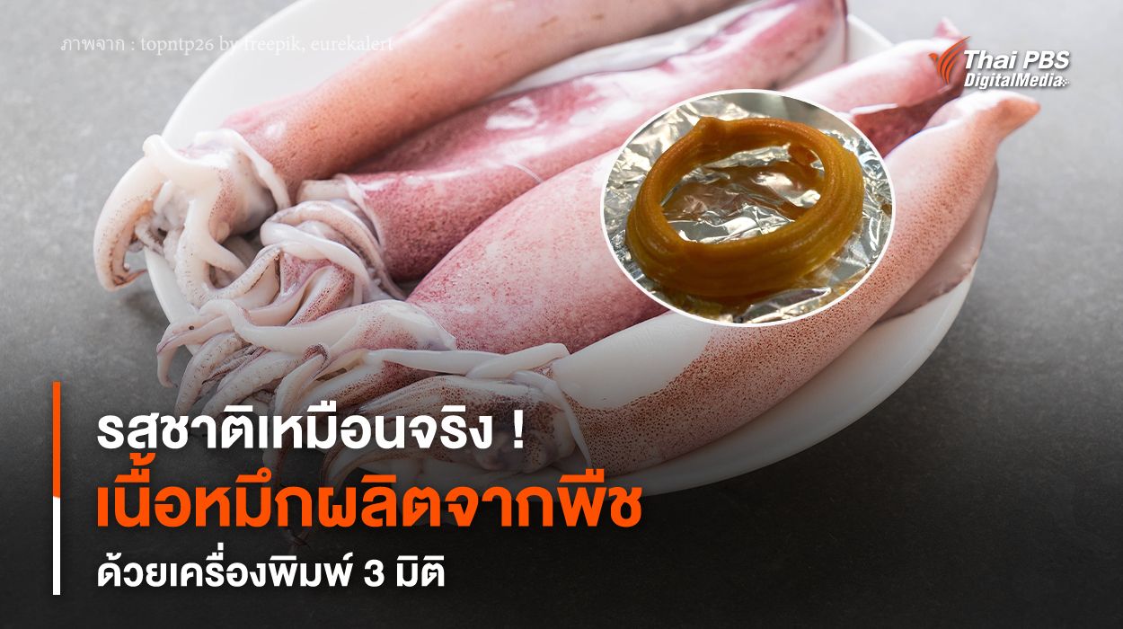 รสชาติเหมือนจริง ! “เนื้อหมึกผลิตจากพืช” ด้วยเครื่องพิมพ์ 3 มิติ