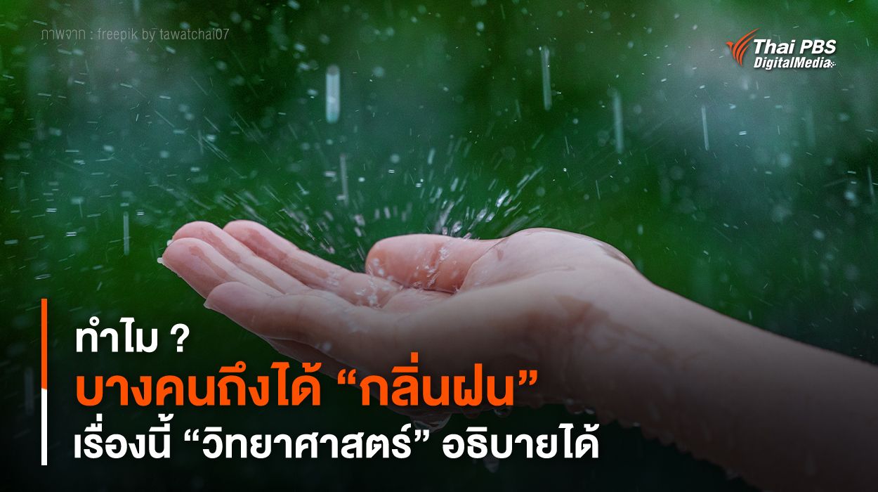 ทำไม ? บางคนถึงได้ “กลิ่นฝน” เรื่องนี้ “วิทยาศาสตร์” อธิบายได้