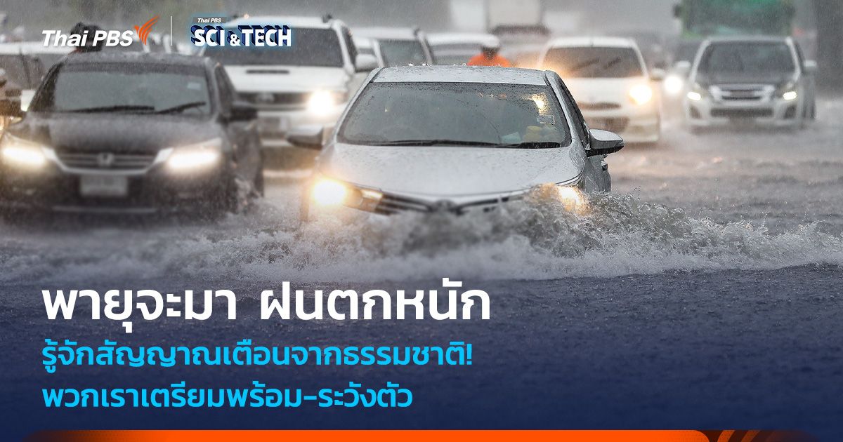 สัญญาณเตือนจากธรรมชาติ! พายุจะมา ฝนตกหนัก พวกเราเตรียม-พร้อมระวังตัว