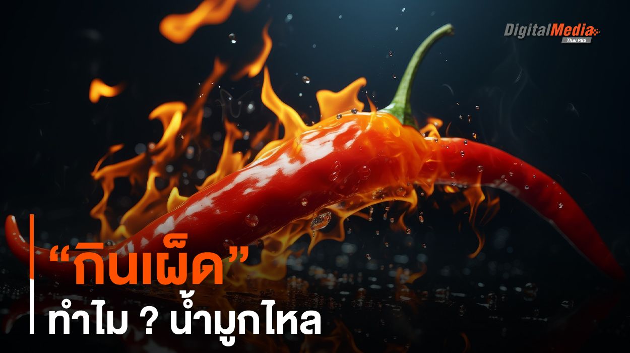 “กินเผ็ด” ทำไม ? น้ำมูกไหล