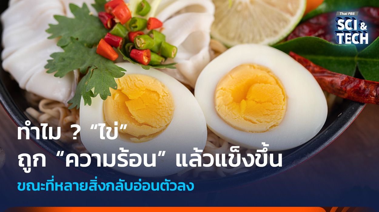 ทำไม ? “ไข่” ถูก “ความร้อน” แล้วแข็งขึ้น ขณะที่หลายสิ่งกลับอ่อนตัวลง