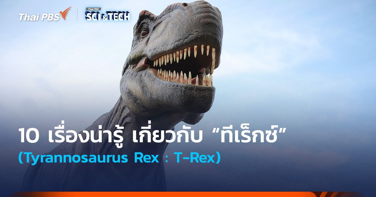 10 เรื่องน่ารู้ เกี่ยวกับ “ทีเร็กซ์” (Tyrannosaurus Rex)