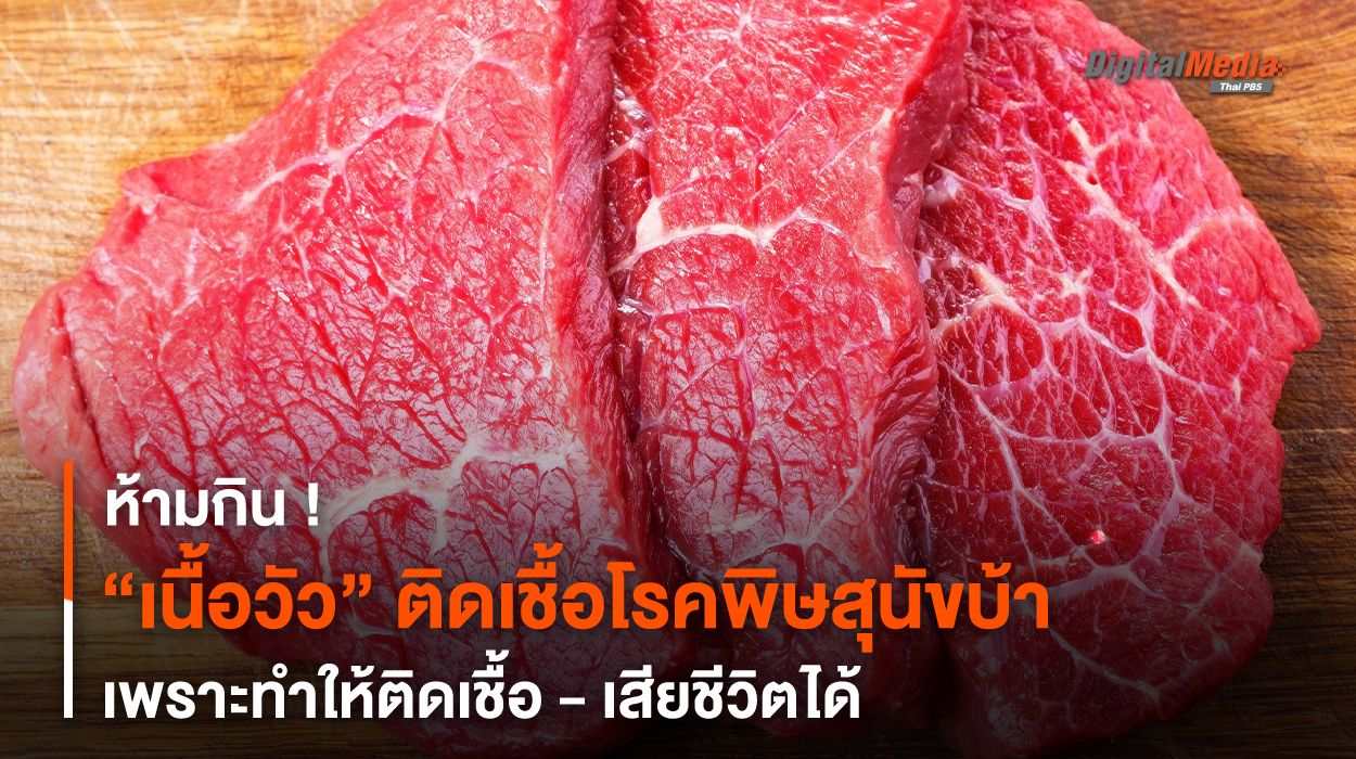 วัวติดเชื้อโรคพิษสุนัขบ้า ห้าม “กินเนื้อ” ทำให้ติดเชื้อ - เสียชีวิตได้