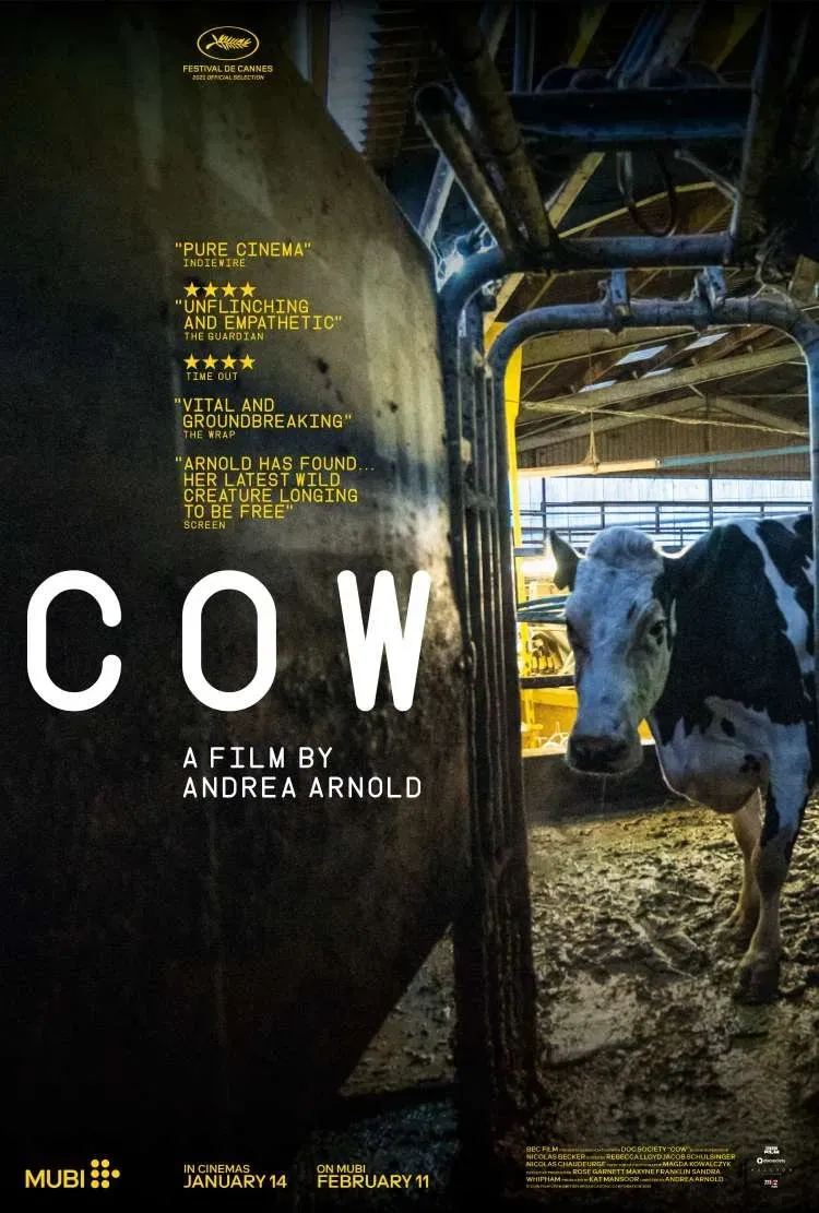 ภาพจากสารคดีเรื่อง COW