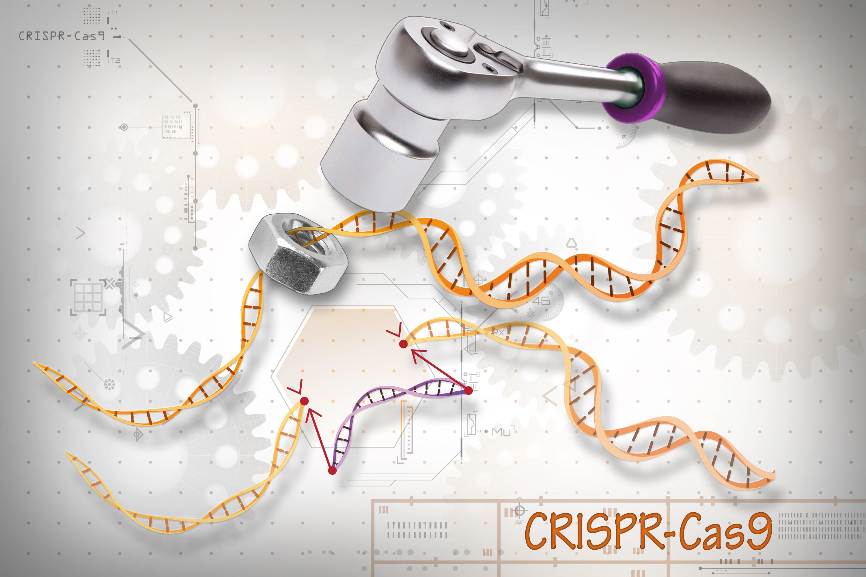 เทคนิคการตัดต่อพันธุกรรม CRISPR-Cas9 ภาพจาก National Institutes of Health