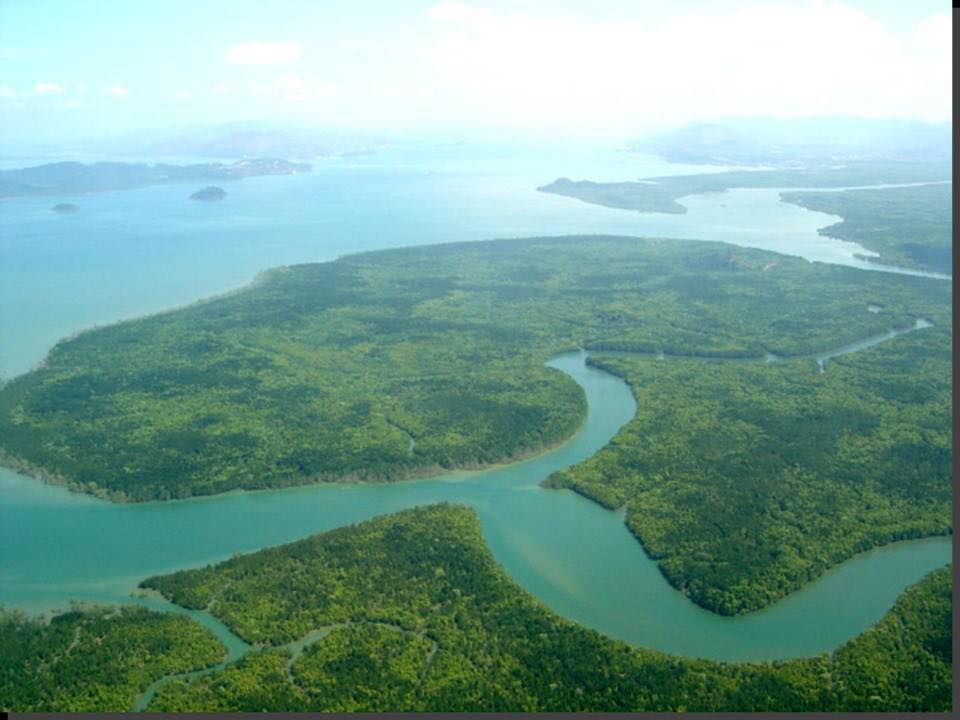 พื้นที่สงวนชีวมณฑลระนอง ภาพจาก ส่วนบริหารจัดการพื้นที่ป่าชายเลนระนอง