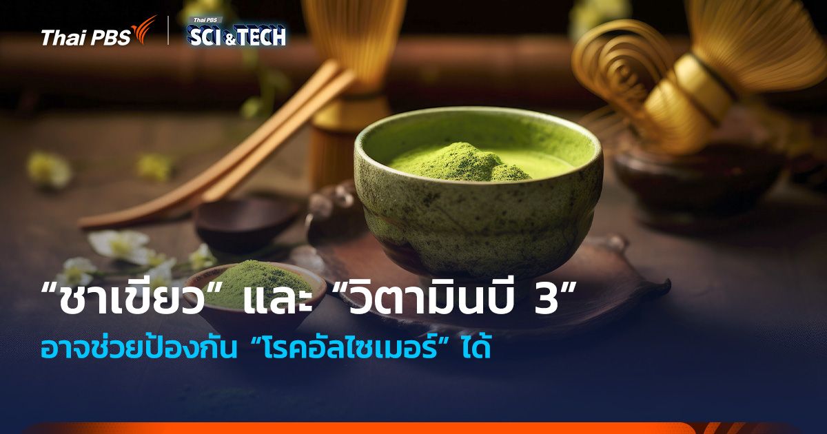 มีข่าวมาบอก! “ชาเขียว” และ “วิตามินบี 3” อาจช่วยป้องกัน “โรคอัลไซเมอร์” ได้