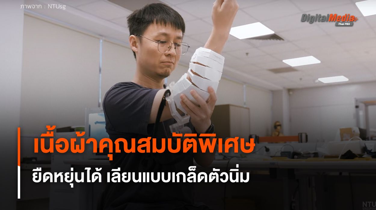 เนื้อผ้าคุณสมบัติพิเศษ ยืดหยุ่นตามต้องการ เลียนแบบเกล็ดตัวนิ่ม