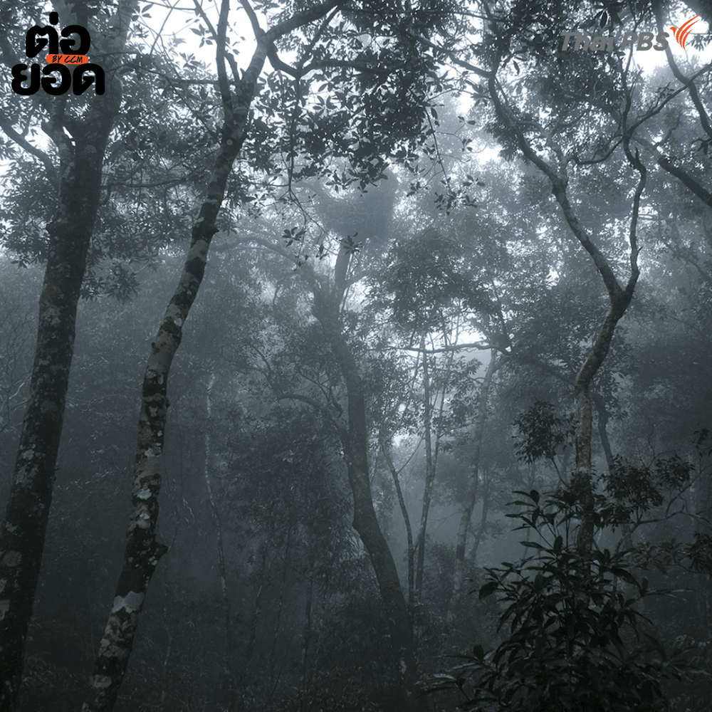 อ่านป่ากับหมอหม่อง 3