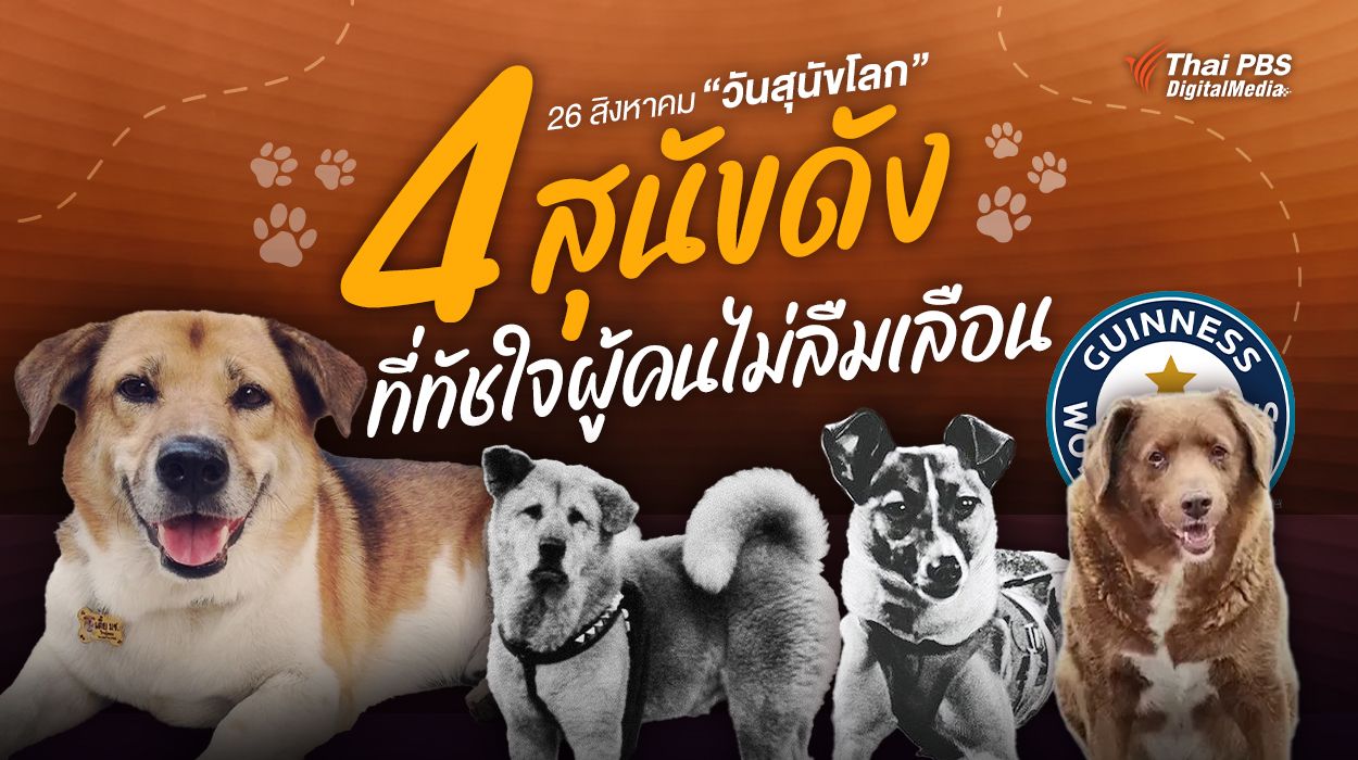 วันสุนัขโลก อ่านเรื่องราว 4 สุนัขดัง ที่ทัชใจคนไม่ลืมเลือน
