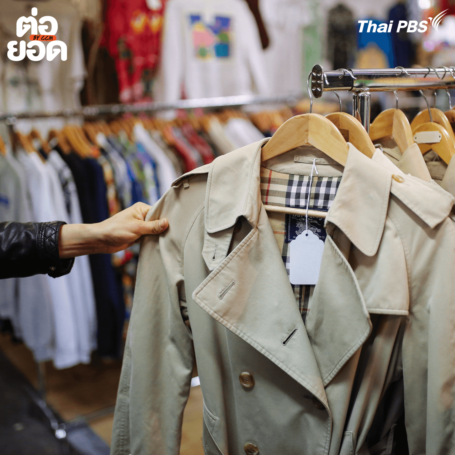 Sustainable Shopping