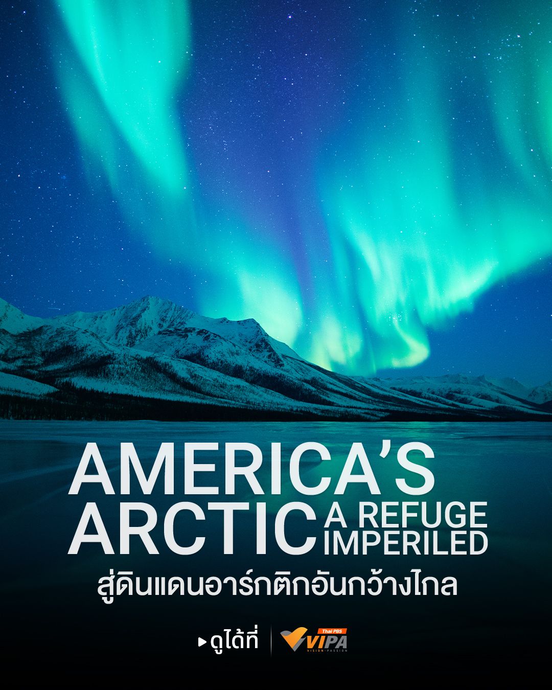 ภาพจากสารคดีเรื่อง America's Arctic - A Refuge Imperiled สู่ดินแดนอาร์กติกอันกว้างไกล