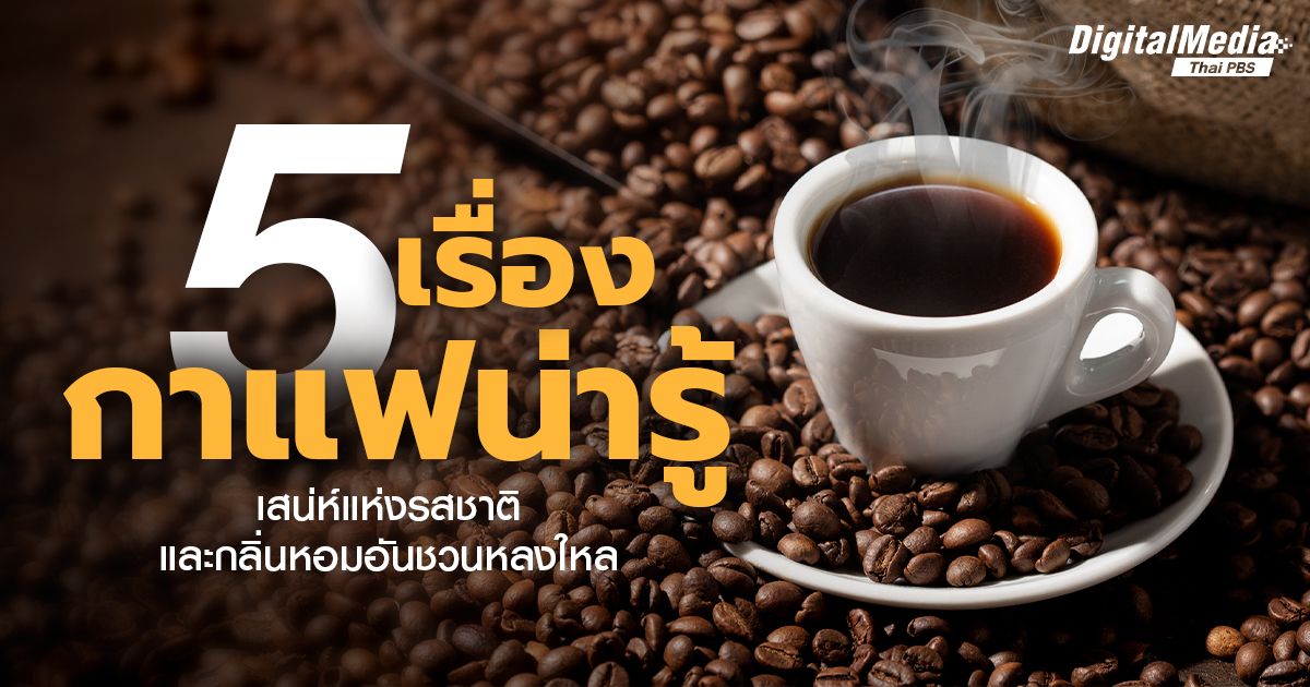 5 เรื่องกาแฟน่ารู้! เสน่ห์แห่งรสชาติและกลิ่นหอมอันชวนหลงใหล
