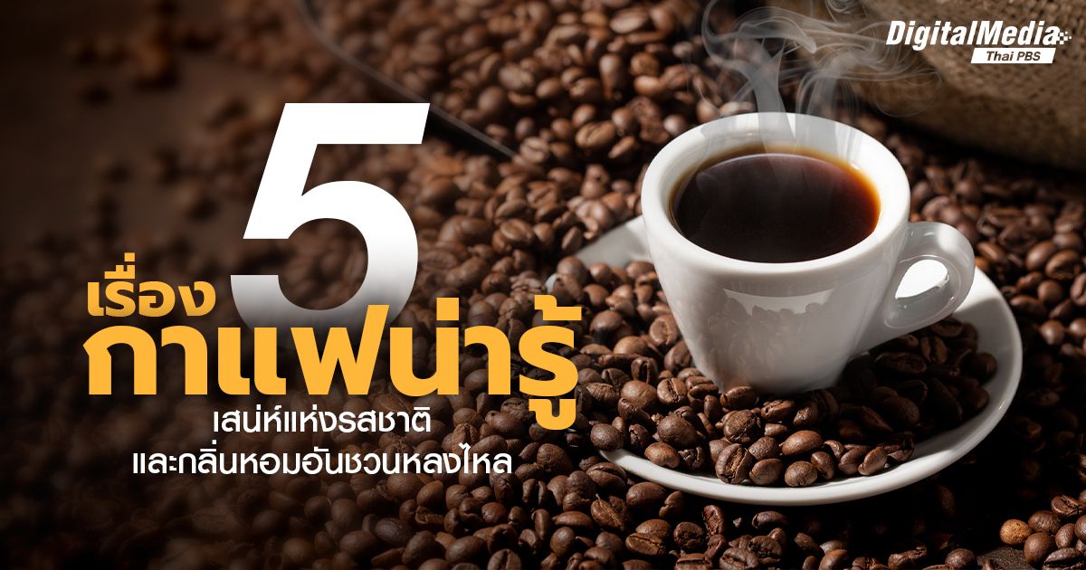 5 เรื่องกาแฟน่ารู้! เสน่ห์แห่งรสชาติและกลิ่นหอมอันชวนหลงไหล