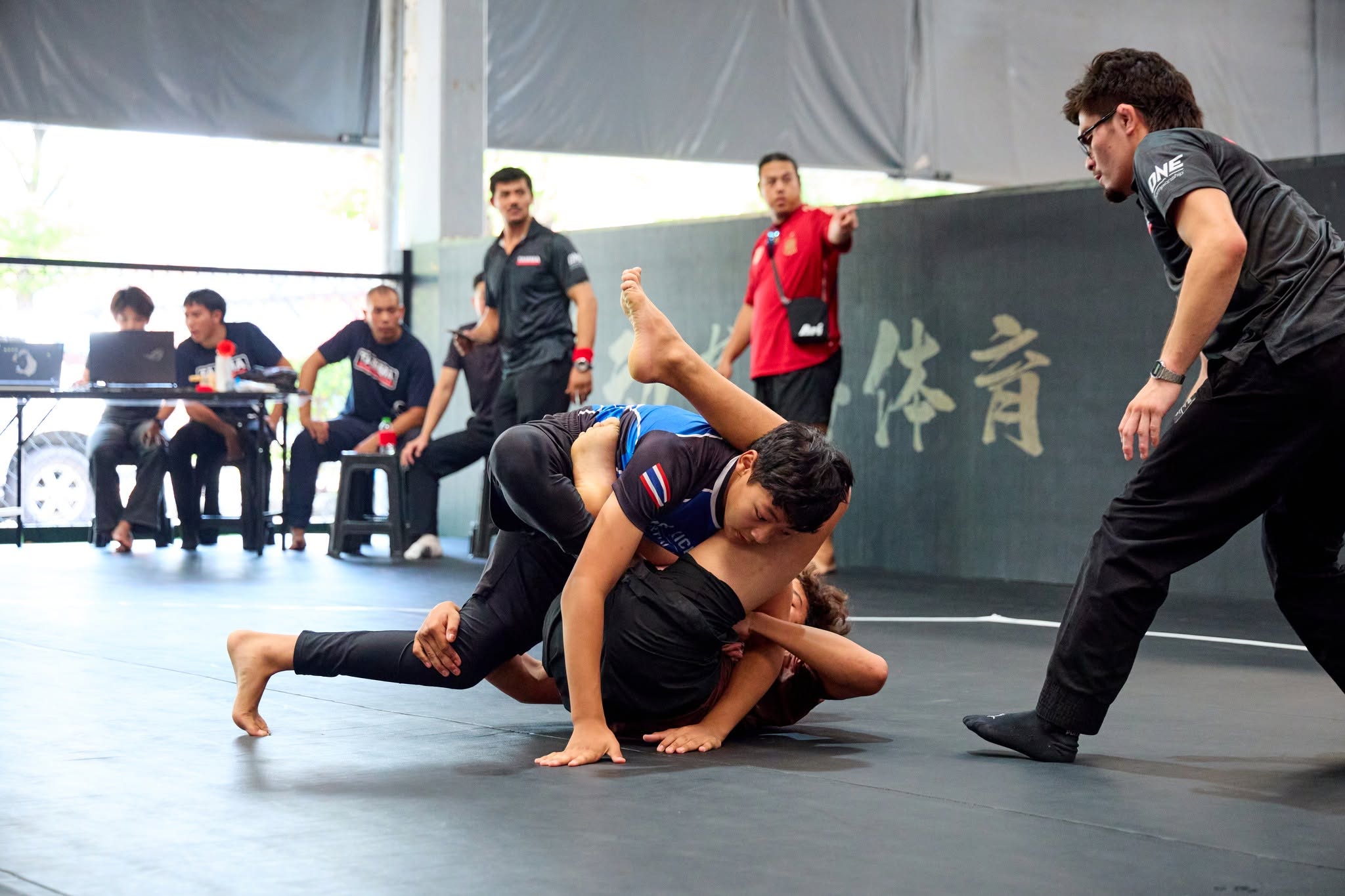 MMA (สมาคมกีฬามิกซ์มาเชียลอาร์ตแห่งประเทศไทย)