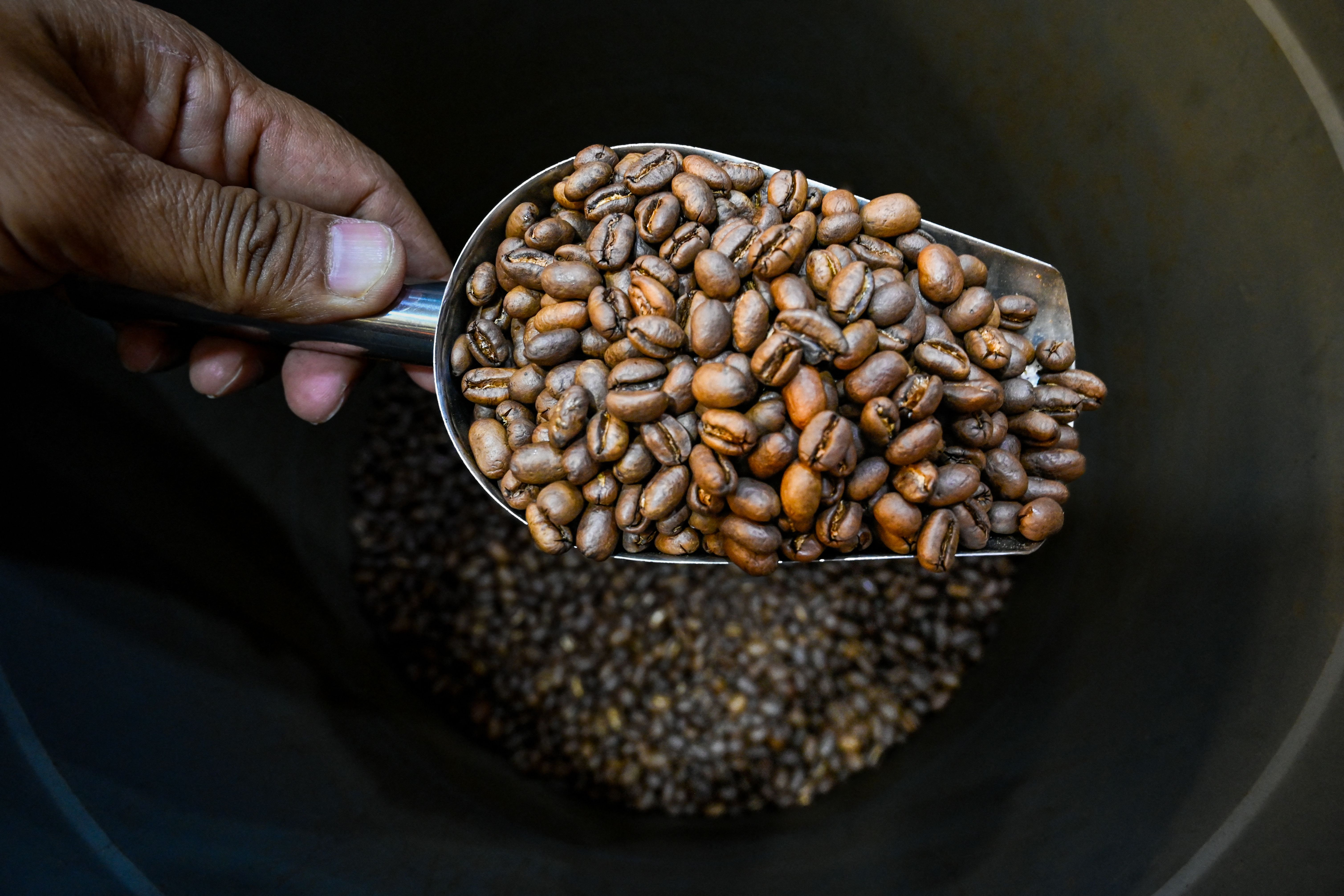 กาแฟอาราบิก้า มีคาเฟอีนต่ำกว่ากาแฟโรบัสต้า มีรสชาติที่ซับซ้อน (Photo by CHAIDEER MAHYUDDIN / AFP)