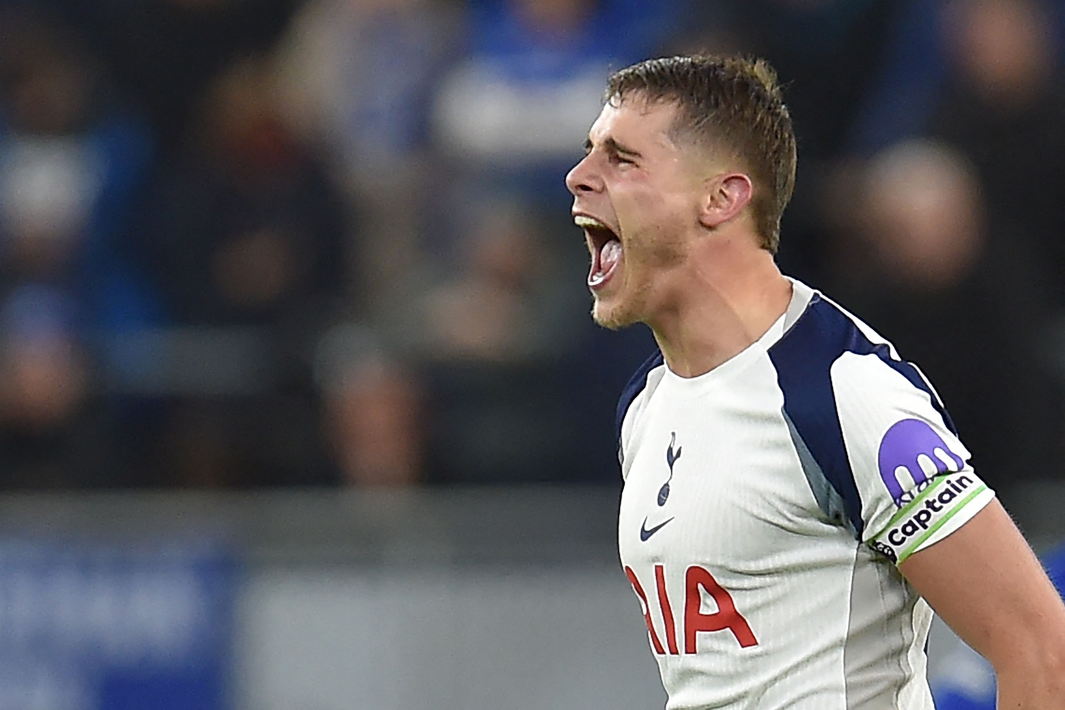 มิคกี ฟาน เดอ เฟน หัวใจเกมรับของสเปอร์ส