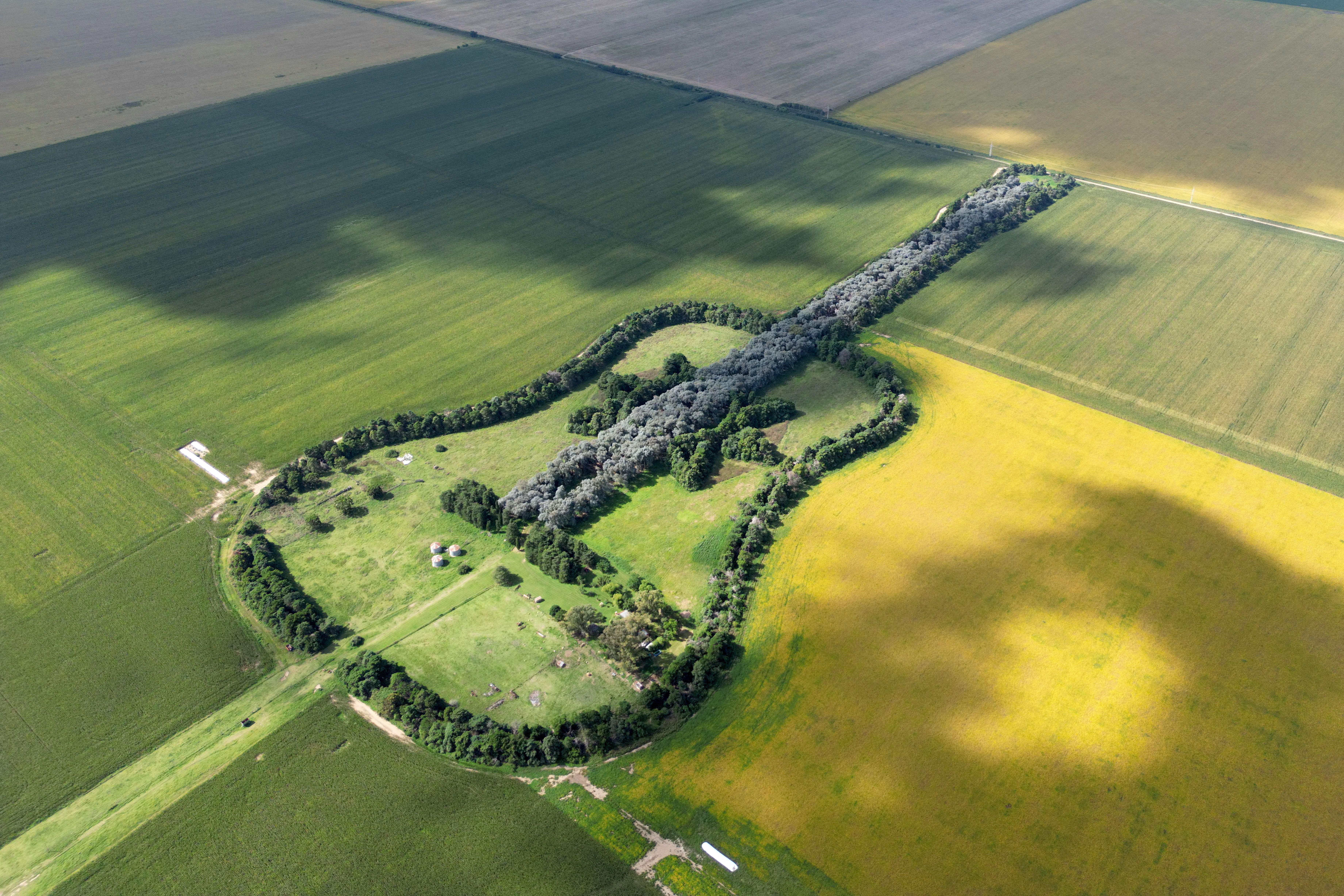 ภาพมุมสูงของ Entancia La Guitarra หรือฟาร์มกีตาร์ (เครดิต: Juan Mabromata/AFP)